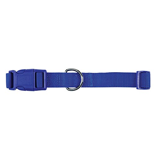 Zack & Zoey â…œ" Wide Nylon Dog Collar, Fits Necks 6" to 10", Nautical Blue