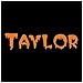 Lillian Vernon Spider Personalized Halloween Treat Bag - Large Trick or Treat Tote & Candy Basket for Kids, Polyester, 9
