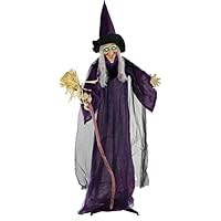 Haunted Hill Farm HHWITCH-5FLSA Life-Size Animated Wicked Witch Prop w/LED Crystal Ball, Battery-Operated Indoor/Outdoor Halloween Decoration, Color 1 Haunted Hill Farm HHWITCH-5FLSA Life-Size Animated Wicked Witch Prop w/LED Crystal Ball, Battery-Operated Indoor/Outdoor Halloween Decoration, Color 1
