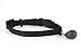 PetSafe Magnetic Key 4-Way Locking Cat Door, Exterior/Interior, White