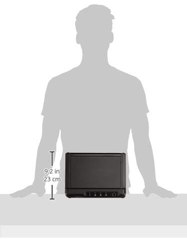 4 AmazonBasics+Quick+Access+Firearm+Biometric+Fingerprint