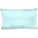 Spasilk Satin Pillowcase for Hair and Face, Satin Pillowcase, Queen/Standard, King Size - Aqua Pillowcase