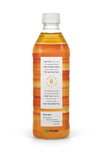 Teas' Tea Organic Lightly Sweet Peach Ginger Black Tea 16.9 Ounce (Pack of 12) Organic Cane Sugar Sweetened No Artificial Sweeteners Antioxidant Rich High in Vitamin C