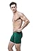 TSLA Men's Breathable Underwear, Performance Cooling Mesh Boxer Briefs, Open Fly Trunks with Pouch, Fly-Front 6inch 2pack Green/Green, Medium