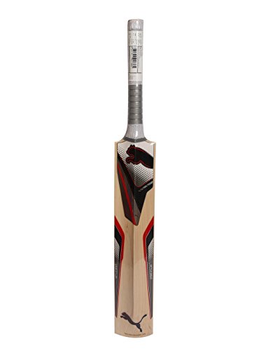 PUMA Platinum 5000 English Willow Cricket Bat