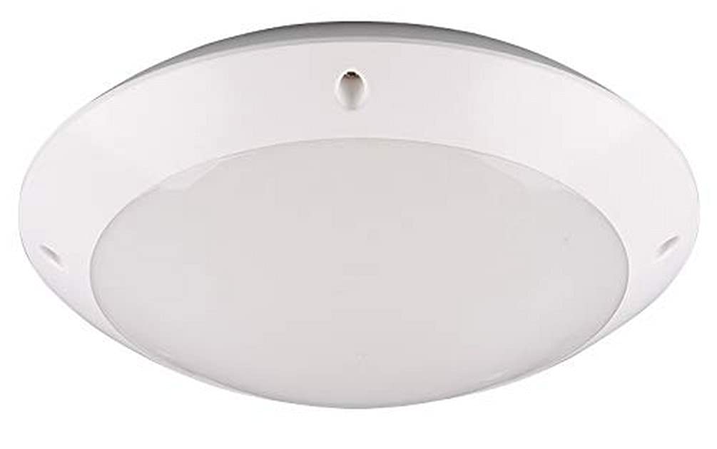 Reality Leuchten Camaro Outdoor Ceiling Light, Matte White