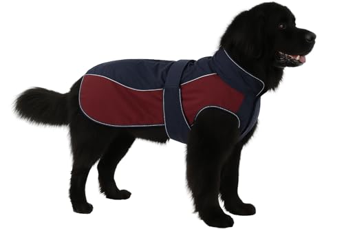 Flamingo WINTER COAT EISBERG DARK BLUE/BURGUNDY 75CM