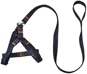 Pet Dog Strap Adjustable Cowboy Belt Training Traction Strap, Blue, Suitable for Small and Medium Sized Dogs (15-24(in))