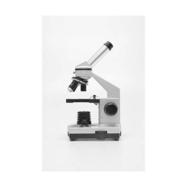 Bresser Junior Mikroskop Set Biolux DE 40x-1024x für Kinder und Erwachsene mit hoher Vergrößerung, inklusive USB Kamera… – Bild 7