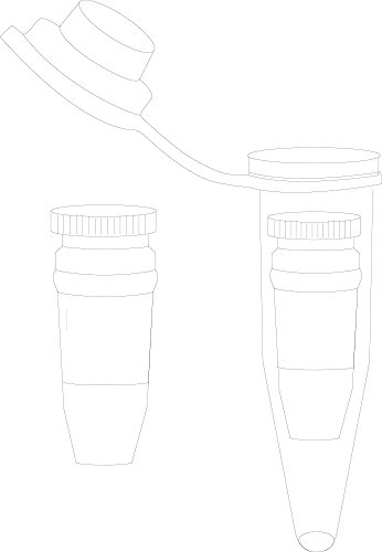 Polyclonal Rabbit Anti-S100A10 (10 ul)