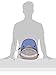 Skip Hop Toddler Backpack, Zoo Preschool Ages 3-4, Shark (Discontinued)