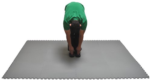 EWONDERWORLD Non-Toxic 24" X 24" X ~9/16" Extra Thick Non-Recycled Quality Waterproof Multi-purpose Gray Mats (Set of 4)