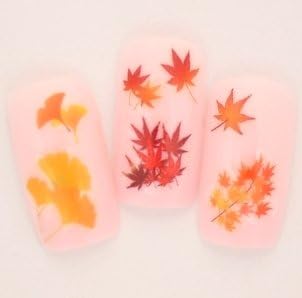 Amazon 紅葉 秋 ネイルデザインシール もみじ 2 1シート9枚入 Mmilly シール ステッカー 通販 Amazon 紅葉 秋 ネイルデザインシール もみじ 2 1シート9枚入 Mmilly シール ステッカー 通販