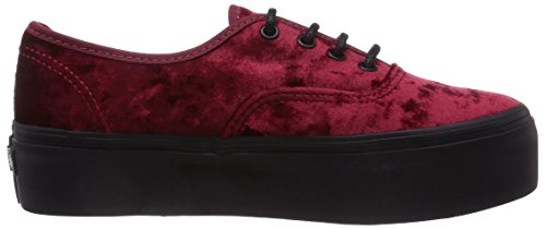 converse basse homme noir