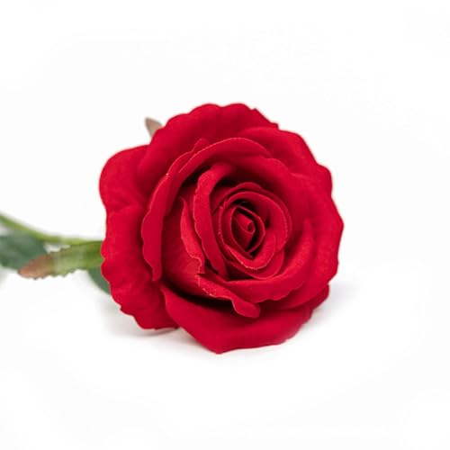 Générique 12pcs Rouges Roses Fleurs Artificielles, Roses en Soie EléGante Rose Cadeau, Romantique Saint Valentin FêTe des MèRes NoëL Anniversaire Rose, Le Mariage, La Maison, DéCoration De FêTe (B)