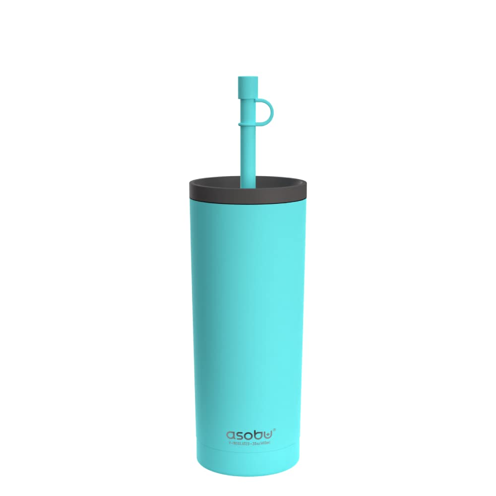 asobu Sippy Double Wall Stainless Steel Tumbler with Silicone Flexible Straw 20 Ounce (Teal)