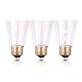 6-Pack Edison Light Bulbs 60 Watt, Vintage Incandescent Edison Bulb Set, 2700K Amber Warm Light - 380 Lumens - E26 Base - Clear Glass - Dimmable Antique Exposed Filament - ST64 Decorative Lightbulbs