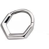 Pierced Owl 16GA 316L Stainless Steel V-Shaped Hinged Segment Clicker Ring