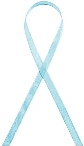 Sheer organza ribbon in various colors, used for decoration, priced at $10.99.