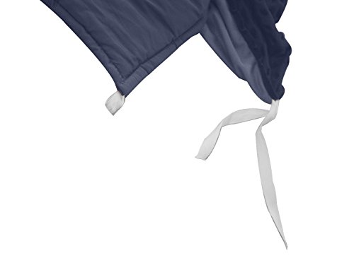 Premium Weighted Blanket with Cover for Adults with Autism, Sensory Processing Disorder or Anxiety Wanting Deeper Sleep - 60"x 80", 15 lbs, Blue & Grey Minky Cover, Cotton Weighted Layer