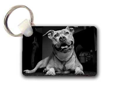 Pitbull Pit bull Keychain Key Chain Great Gift Idea