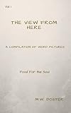 The View From Here by Michael Wyatt Doster