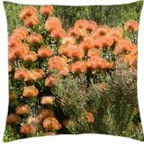 Pincushion Protea - Throw Pillow Cover Case (18