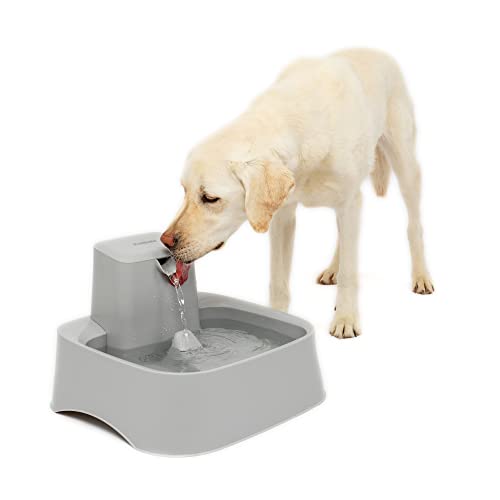 PetSafe Drinkwell Pet Water Fountain