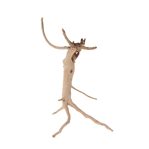 emours Natural Driftwood Vine Branches Reptiles Aquarium Decoration