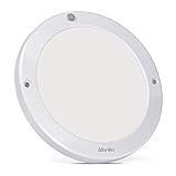 Motion Sensing Indoor Outdoor LED Ceiling Light - Albrillo 100W Equivalent Ceiling Lights for Closet Hallway Pantry Garage 1200lm Daylight White 4000K