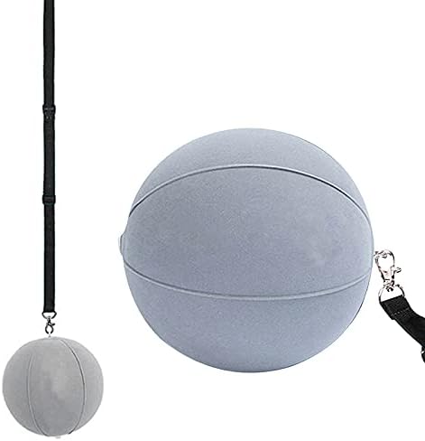 Golf Smart Ball Training Aid Impact Inflatable Balls with Air Pump Adjustable Lanyard Assist Teaching Posture Correction Trainer Aids for Men Women Beginner Golfer Golf Smart Ball Training Aid Impact Inflatable Balls with Air Pump Adjustable Lanyard Assist Teaching Posture Correction Trainer Aids for Men Women Beginner Golfer
