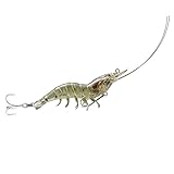 Live Target Hybrid Shrimp