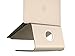 Rain Design mStand Laptop Stand, Gold (10071)
