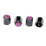 Cutequeen paw print Black Tire Air Valve Caps Fit All Schrader valve(Pack of 4)