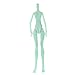 Fenteer Custom Moveable Joints Nude Doll Body Mold for Monster High Dolls DIY Making and Repairing Accessory Set of 5 Pieces