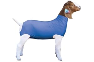 SHOWPRO OUTFITTING CHAMPIONS Show Pro Blue Spandex Goat Tube for Show Goats - Made in America. Show Livestock Supplies: Goat Covers & Blankets. (Large)