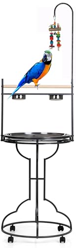 Mcage Stainless Steel Play Stand