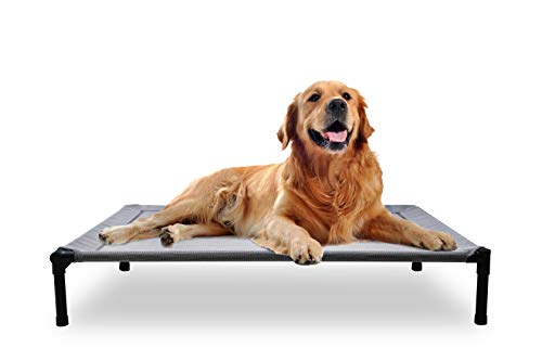 Mora Pets Dog Cot Outdoor Dog Bed Raised Dog Bed Elevated Pet Beds