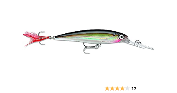 Amazon Com Rapala X Rap Deep 08 Fishing Lure 3 125 Inch Silver Fishing Bait Traps Sports Outdoors