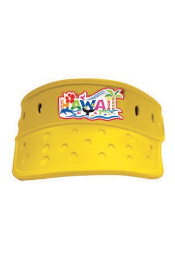 Hawai'i Fun-Yellow Island Vizers
