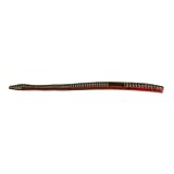 BAITFUEL T-Mac Durable Straight Tail Worm Infused