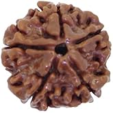 Arihant Gems & Jewels 5 Mukhi Rudraksha, Natural & Certified Five-Faced Nepali Rudraksha, 100% Original Astrological Rudraksha for Men & Women, Positive Energy & Healing
