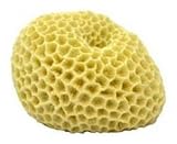 Deep Blue Professional ADB80031 Brain Coral for Aquarium, 3 by 2.5 by 2-Inch