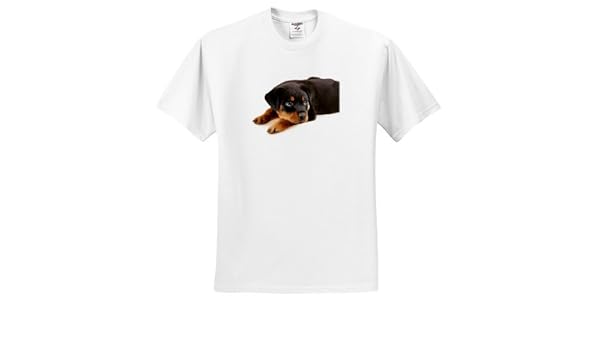 rottweiler t shirt amazon