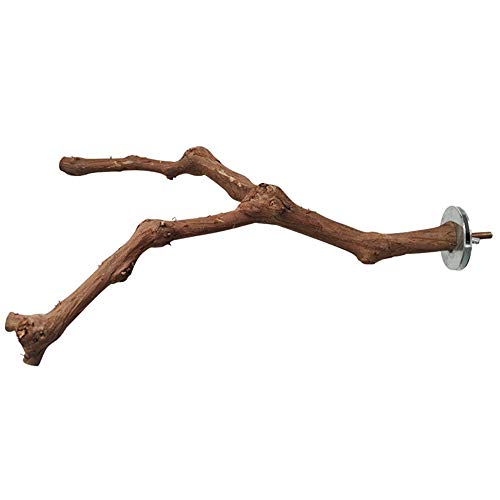 kathson Parrot Perches,Birds Stand Pole Natural Wild Grape Stick Grinding Paw Climbing Standing Cage Accessories Toy Branches for Cockatiels,Cockatoo,Lorikeet,Conure,Parakeet