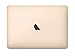 Apple MacBook (Mid 2017) 12