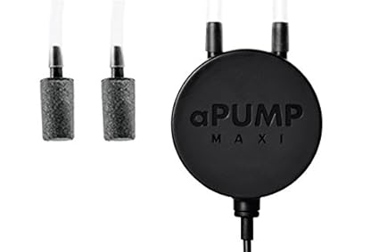 bob martin flea shampoo for dogs