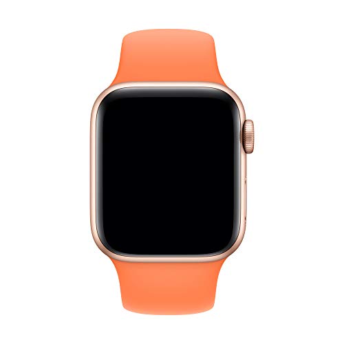 Apple Watch Sport Band(40mm) Vitamin C Regular Pricepulse