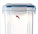 Komax Biokips Cereal Containers Storage Set of 3 – Airtight Food Storage Containers – Cereal Dispenser for All Dry Foods – BPA-Free Cereal Container Set for Pantry Organization and Storage (135 oz)