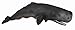 CollectA Sperm Whale